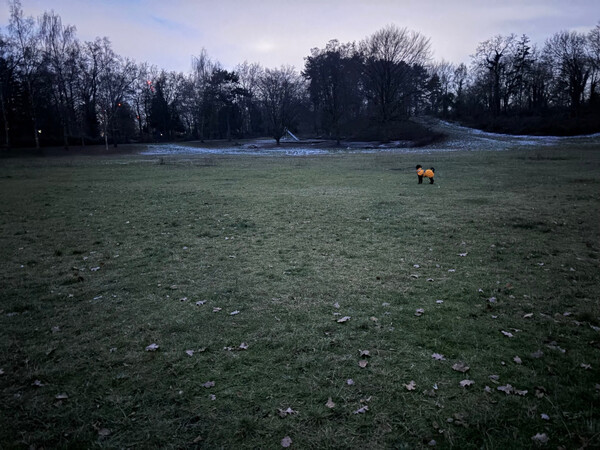 goethepark