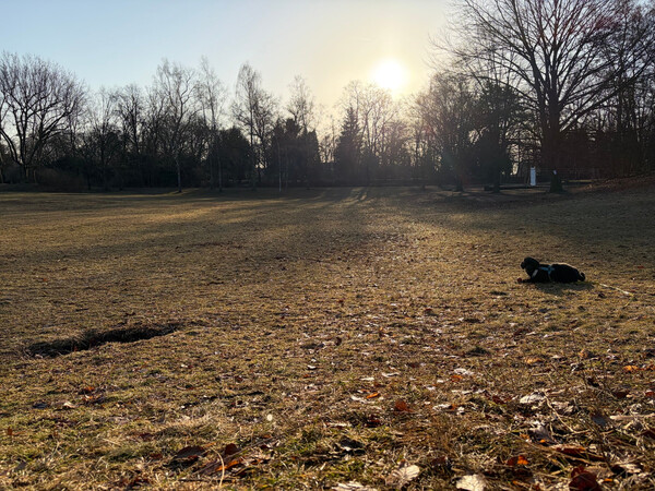 goethepark