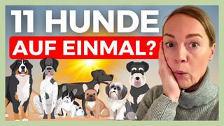 YouTube Video Vorschaubild