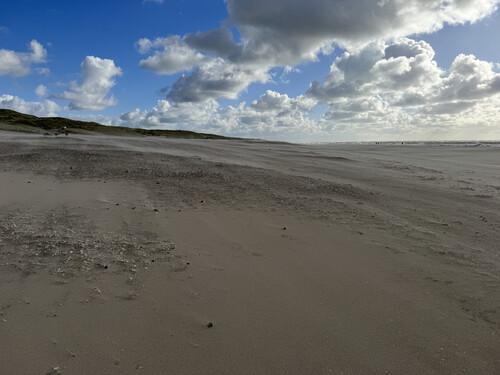 Der Sturm
