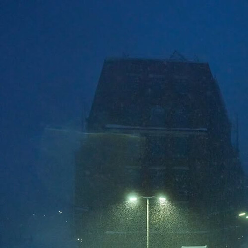 do you like snow shots?
