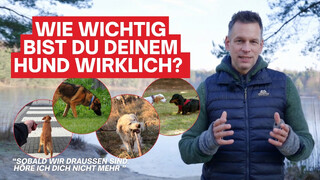 YouTube Video Vorschaubild