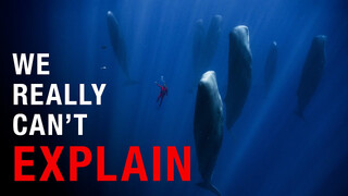 YouTube Video Vorschaubild