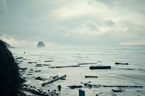 Winter Cannon Beach