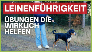 YouTube Video Vorschaubild