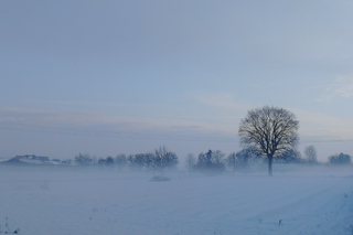 Ein verschneites Feld mit einem gro&szlig;en Baum, im Hintergrund eine weitere Baumreihe, &uuml;ber dem Schnee eine d&uuml;nne Schicht Nebel. Am Himmel ist zwischen Schleiern ein zartes Blau zu erahnen.