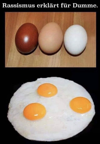 rassismus erkl&auml;rt f&uuml;r dumme