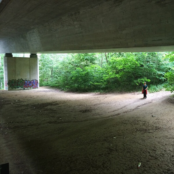 wald&shy;spa&shy;zier&shy;gang mit #au&shy;to&shy;bahn #66seen