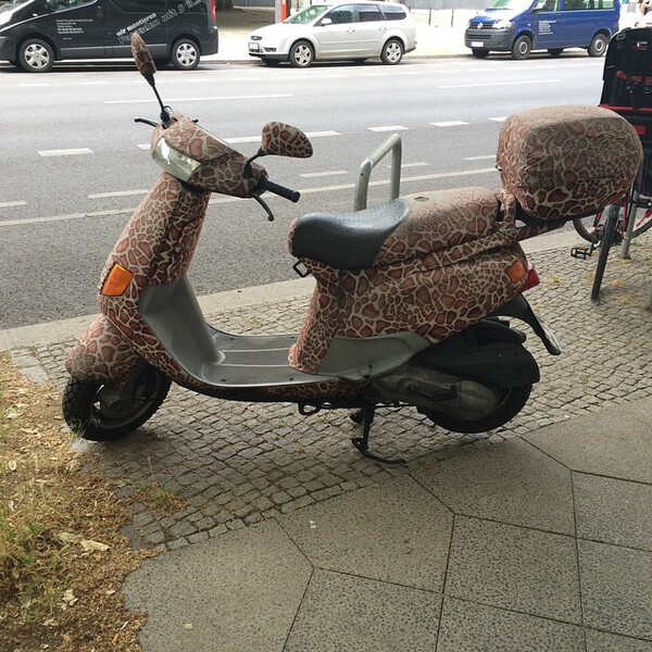 ge&shy;pa&shy;rol&shy;ler oder le&shy;o&shy;ped? #auf&shy;dem&shy;weg&shy;zurar&shy;beit #kar&shy;re #rol&shy;ler