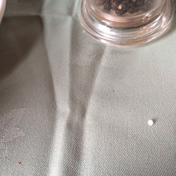 schot&shy;ti&shy;sches salz&shy;korn