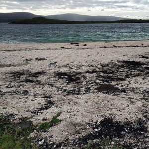 Photo by felix schwenzel in Coral Beaches, Isle of Skye. Keine Fotobeschreibung verfügbar..