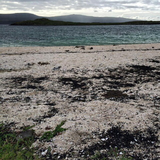 Photo by felix schwenzel in Coral Beaches, Isle of Skye. Keine Fotobeschreibung verfügbar..