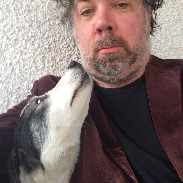 der hund, der denkt ich w&auml;r ein schaf.