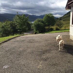 Photo by felix schwenzel on August 01, 2015. Keine Fotobeschreibung verfügbar..