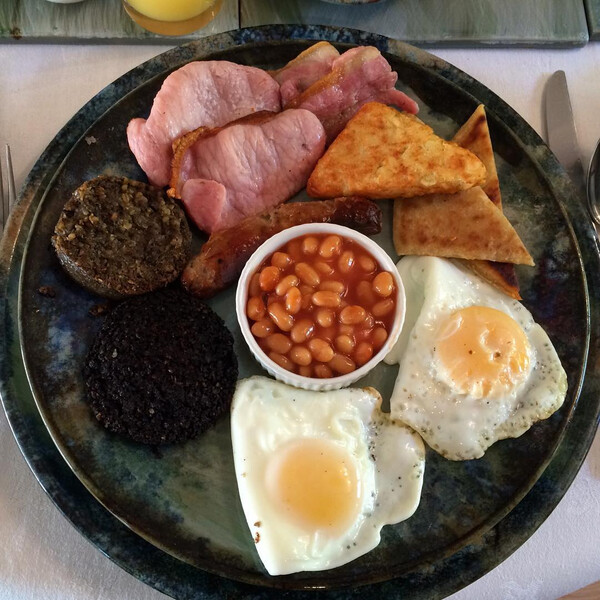 dem fr&uuml;h&shy;st&uuml;ck nach ge&shy;hen wir heu&shy;te b&auml;um&shy;e&shy;f&auml;l&shy;len. in echt na&shy;t&uuml;r&shy;lich nur spa&shy;zie&shy;ren. #schott&shy;land