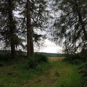Photo by felix schwenzel in Loch Ness, Scotland. Keine Fotobeschreibung verfügbar..