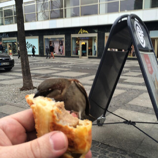 Photo by felix schwenzel on February 16, 2016. Keine Fotobeschreibung verfügbar..