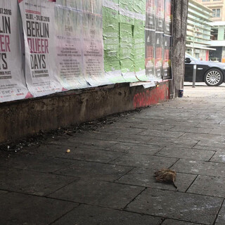 Photo by felix schwenzel in Alexanderplatz Berlin. Keine Fotobeschreibung verfügbar..