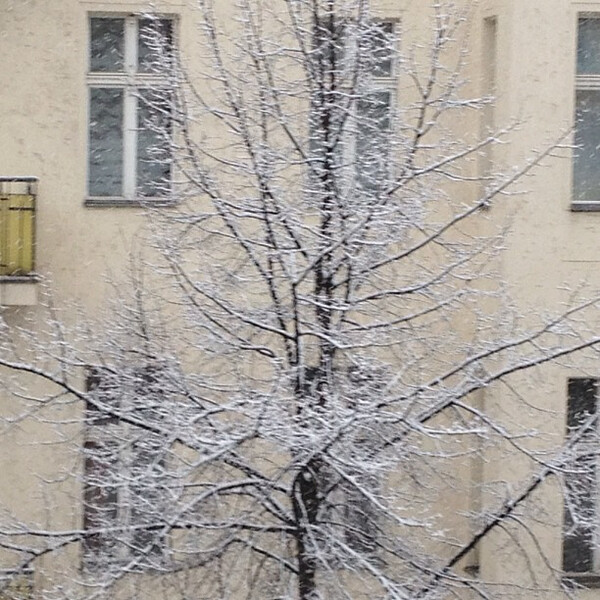 ein&shy;ge&shy;schneit