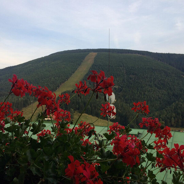 hmm, scha&shy;de, liegt noch kein schnee.