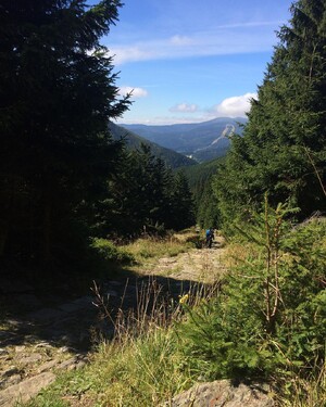 Photo by felix schwenzel on September 06, 2016. Keine Fotobeschreibung verfügbar..