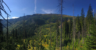 Photo by felix schwenzel in Krkonoše. Keine Fotobeschreibung verfügbar..