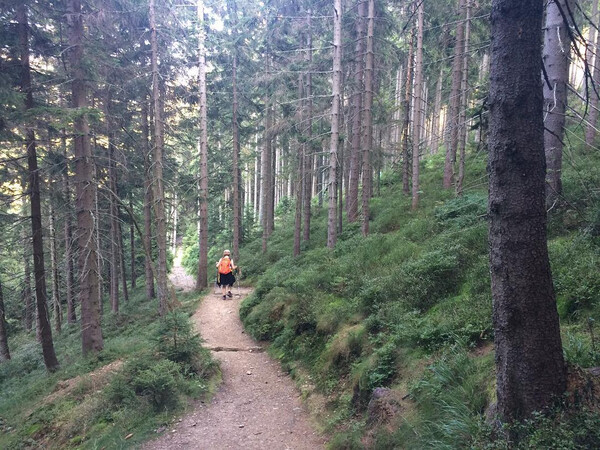 @ka&shy;ti&shy;as_bil&shy;der hat n paar bla&shy;sen, ix nicht. ich glaub ich muss mei&shy;ne schu&shy;he mal lo&shy;ben, nach vier&shy;mal fast 20 km &hellip;
