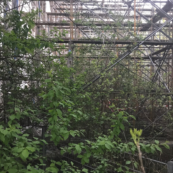 bau&shy;aka&shy;de&shy;mieur&shy;wald.