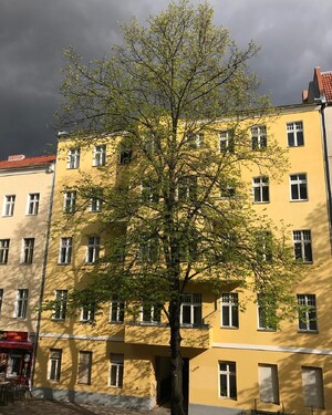 Photo by felix schwenzel on April 22, 2017. Keine Fotobeschreibung verfügbar..