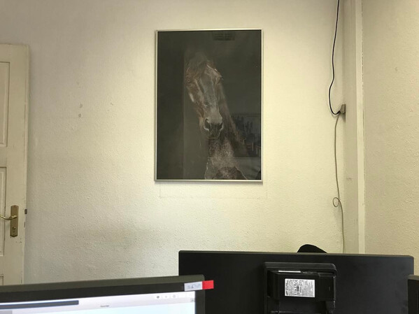 als kind hat&shy;te ich vie&shy;le pfer&shy;de&shy;pos&shy;ter in mei&shy;nem zim&shy;mer. jetzt auch im b&uuml;ro. 1 kol&shy;le&shy;ge sag&shy;te eben: &bdquo;fe&shy;lix, du &hellip;