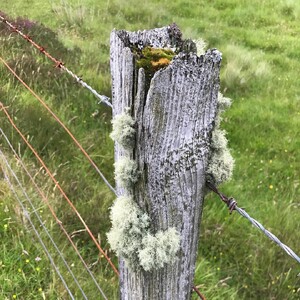 Photo by felix schwenzel in Dunvegan. Keine Fotobeschreibung verfügbar..