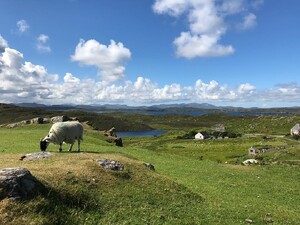 Photo by felix schwenzel in Lewis. Keine Fotobeschreibung verfügbar..