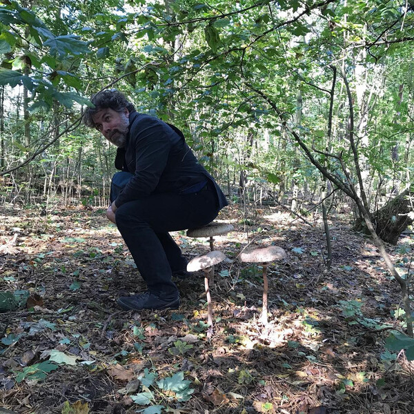 ho&shy;cker im wald. toll! (foto von @sim&shy;ply&shy;saym)