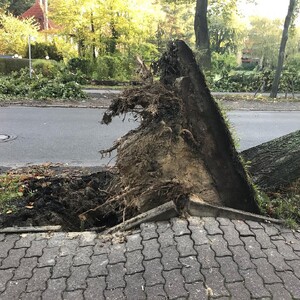 Photo by felix schwenzel in Steglitz-Zehlendorf. Keine Fotobeschreibung verfügbar..