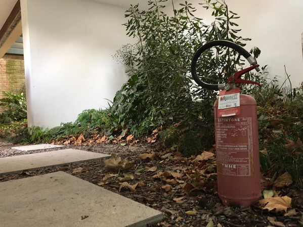 nach&shy;dem ich den feu&shy;er&shy;l&ouml;&shy;scher im d&auml;&shy;ni&shy;schen pa&shy;vil&shy;lon fo&shy;to&shy;gra&shy;fiert hat&shy;te, ha&shy;ben sich an&shy;de&shy;re den auch &hellip;