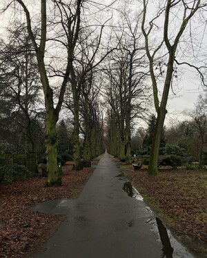 Photo by felix schwenzel on December 09, 2017. Keine Fotobeschreibung verfügbar..