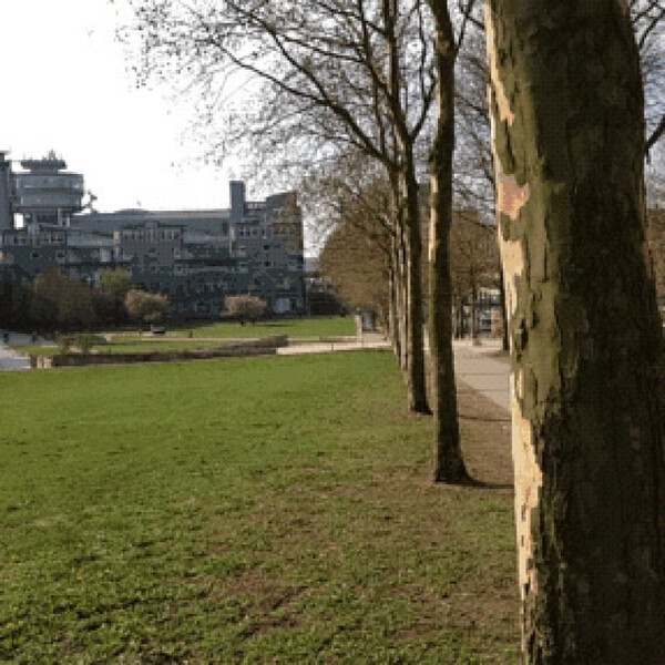 das war mal ein gif