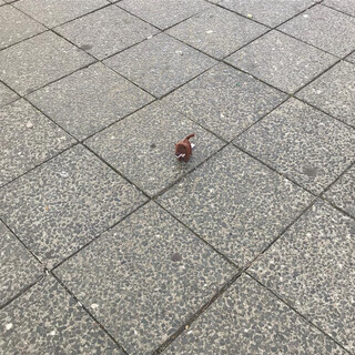 Photo by felix schwenzel on May 26, 2018. Keine Fotobeschreibung verfügbar..