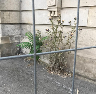 Photo by felix schwenzel in Hochschule für Musik Hanns Eisler Berlin. Keine Fotobeschreibung verfügbar..