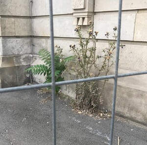 Photo by felix schwenzel in Hochschule für Musik Hanns Eisler Berlin. Keine Fotobeschreibung verfügbar..