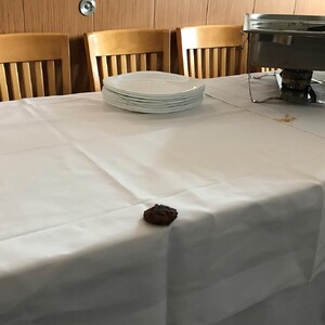 Photo by felix schwenzel in Hotel Deutsches Haus. Keine Fotobeschreibung verfügbar..