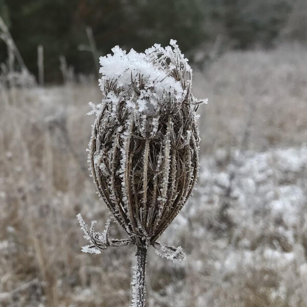 heu&shy;te schien die welt schwarz weiss. #no&shy;fil&shy;ter #schw&ouml;r