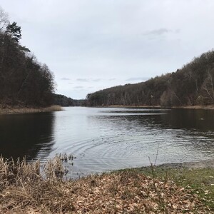 Photo by felix schwenzel in Waldschänke am Gamensee. Keine Fotobeschreibung verfügbar..