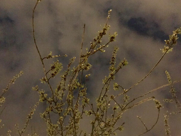 nacht&shy;him&shy;mel an der os&shy;lo&shy;er stras&shy;se.