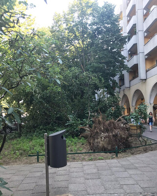 Photo by felix schwenzel on June 19, 2019. Keine Fotobeschreibung verf&uuml;gbar..