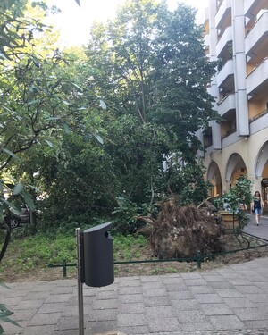 Photo by felix schwenzel on June 19, 2019. Keine Fotobeschreibung verfügbar..