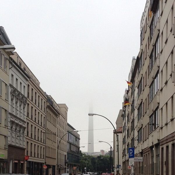 die&shy;sig