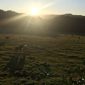Photo by felix schwenzel in Rotes Moor In Der Rhön. Keine Fotobeschreibung verfügbar..