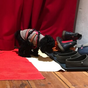 Photo by felix schwenzel on December 01, 2019. Keine Fotobeschreibung verfügbar..