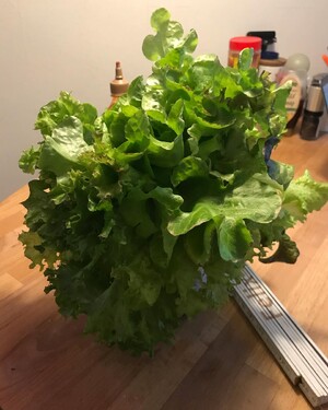Photo by felix schwenzel on December 10, 2019. Keine Fotobeschreibung verfügbar..